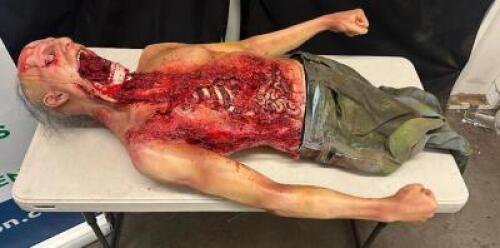 DESCRIPTION HALF TORSO RUBBER AUTOPSY PROP W/ DISTORTED FACE. ADDITIONAL INFORMATION W/ CHAIN HOOK ON HEAD QTY 1