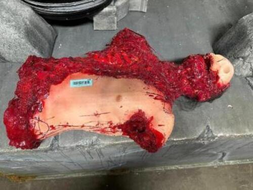 DESCRIPTION RUBBER TORSO MORGUE PROP QTY 1
