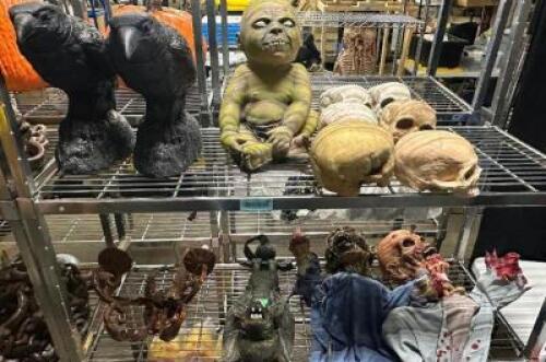 DESCRIPTION CONTENTS OF (2) SHELVES - (12) ASSORTED SCARY PROPS THIS LOT IS: ONE MONEY QTY 1