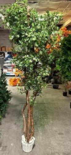 DESCRIPTION (4) AUTOGRAPH FOLIAGE'S 8' SUGAR MAPLE TREES THIS LOT IS: SOLD BY THE PIECE QTY 4