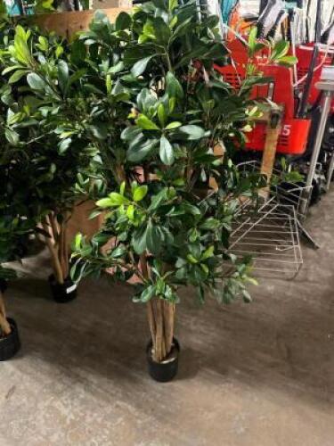 DESCRIPTION (5) AUTOGRAPH FOLIAGE'S 4' FR PITTOSPORUM TREE BRAND / MODEL: AUTOGRAPH FOLIAGE'S WR-160040 ADDITIONAL INFORMATION RETAILS FOR $225 PER RE
