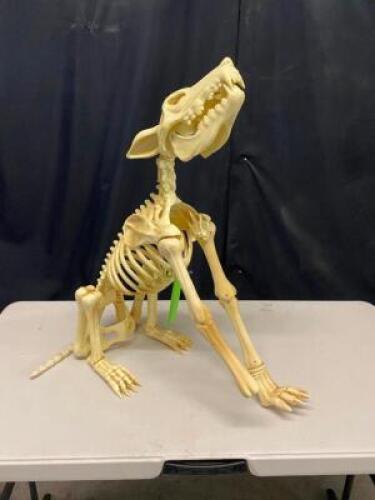 DESCRIPTION 24" PLASTIC DEMON DOG SKELETON W/ BATTERY POWERED LED EYES. QTY 1