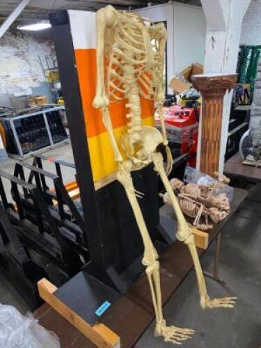 DESCRIPTION SKELETON PROP W/ WOODEN BACK STAND QTY 1