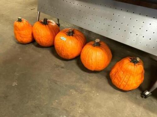DESCRIPTION (5) CARVABLE FAUX PUMPKINS BRAND / MODEL: FUNKINS PUMPKINS ADDITIONAL INFORMATION RETAILS FOR $70 PER THIS LOT IS: SOLD BY THE PIECE QTY 5