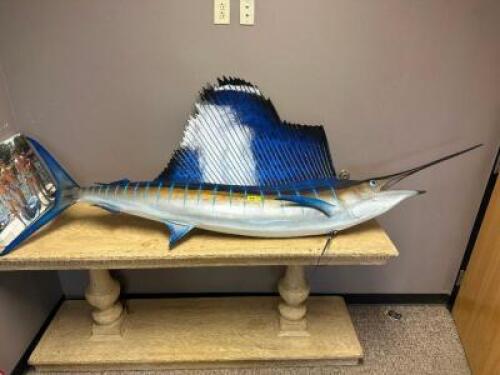 90" TAXIDERMY SAILFISH