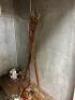 WALK IN REFRIGERATOR UNIT W/ TAP SYSTEM - 8