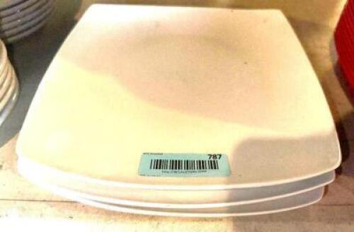 (3) 10" X 10" CHINA PLATES