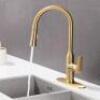 SINGLE HANDLE KITCHEN FAUCET W/ PULL DOWN SPRAYER