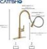 SINGLE HANDLE KITCHEN FAUCET W/ PULL DOWN SPRAYER - 2
