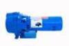 DESCRIPTION: (1) WATER WELL PUMP BRAND/MODEL: GOULDS #GT073TE INFORMATION: BLUE SIZE: 3/4 HP RETAIL$: $1,045.00 EA QTY: 1