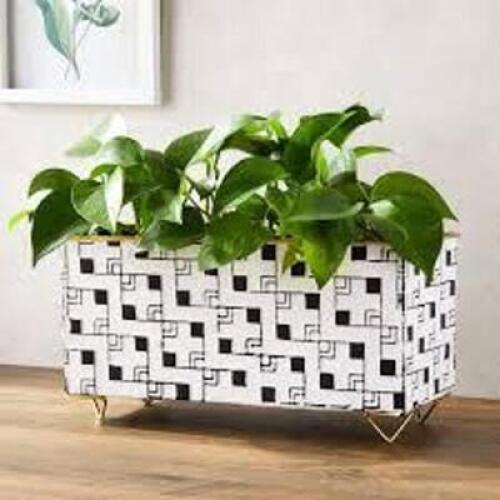 DESCRIPTION: (3) RECTANGULAR WINDOW PLANTER BOX BRAND/MODEL: FARMLYN CREEK INFORMATION: BLACK AND WHITE RETAIL$: $13.69 EA QTY: 3