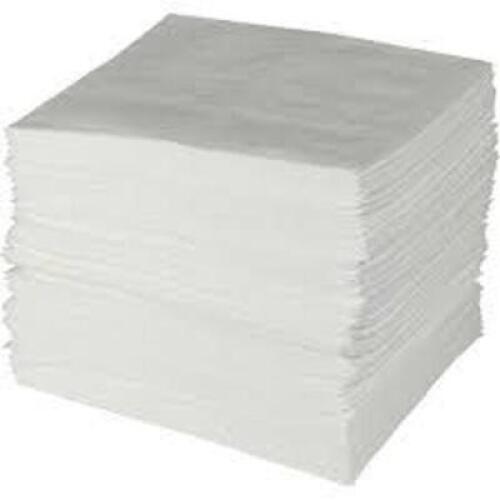 DESCRIPTION: (2) CASE OF (100) ABSORBENT PADS BRAND/MODEL: BRADY #ENV500 INFORMATION: WHITE RETAIL$: $43.58 EA QTY: 2