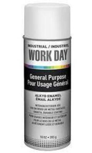 DESCRIPTION: (4) GENERAL PURPOSE ALKYD ENAMEL BRAND/MODEL: WORK DAY INFORMATION: WHITE SIZE: 10 OZ RETAIL$: $4.28 EA QTY: 4