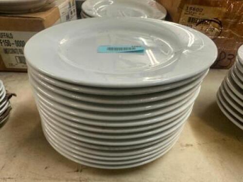 (12) 10" CERAMIC PLATES