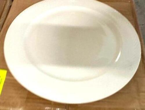(60) 10.5" CHINA PLATES