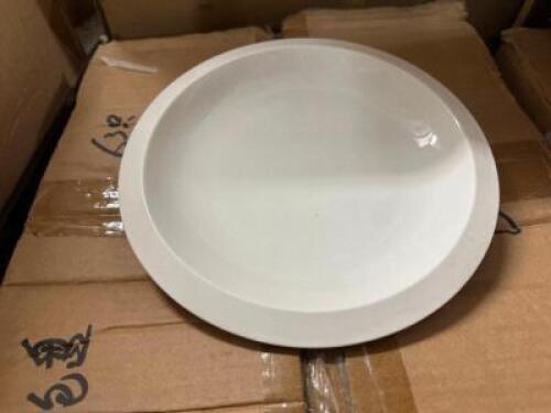 (3) CASES OF 8" CHINA PLATES