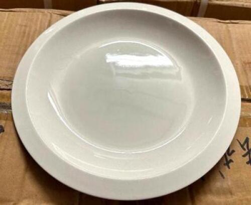 (3) CASES OF 9" CHINA PLATES