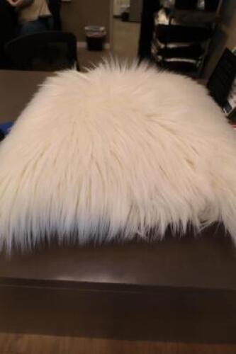 PILLOWS