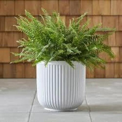 DESCRIPTION: (1) FLUTED PLANTER BRAND/MODEL: BETTER HOMES AND GARDENS INFORMATION: WHITE RETAIL$: $80.00 EA QTY: 1