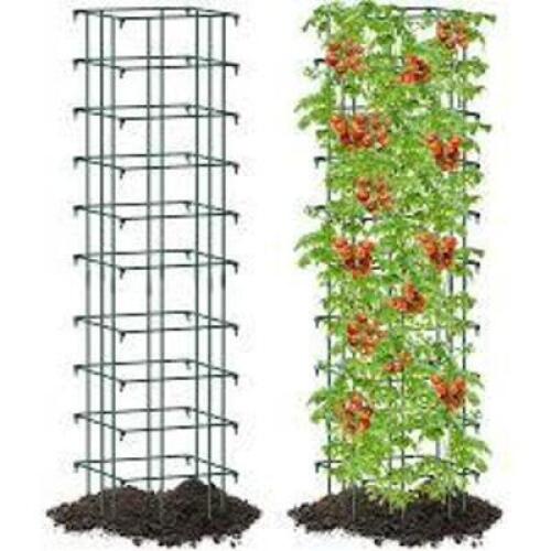 DESCRIPTION: (1) COLLAPSIBLE TOMATO CAGE BRAND/MODEL: AMAGABELI INFORMATION: GREEN, GALVANIZED SIZE: SQUARE RETAIL$: $30.00 EA QTY: 1
