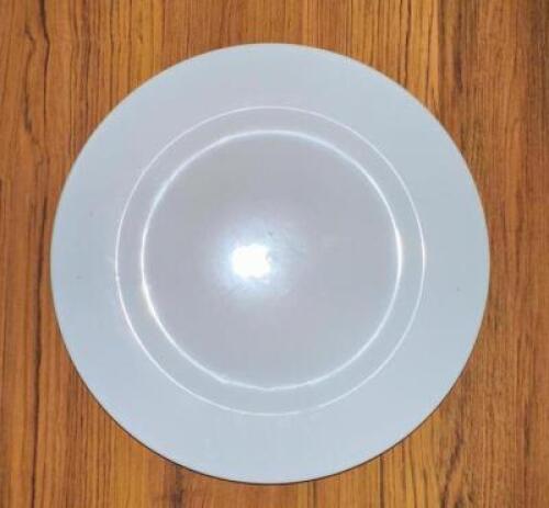 (21)- 10.5" DINNER PLATES