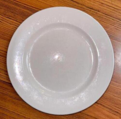(21)- 9" DINNER PLATES
