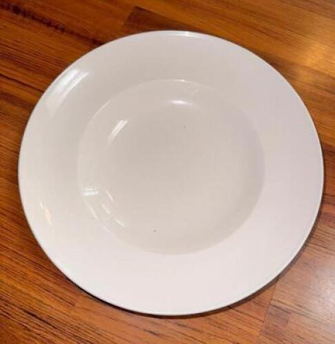 (8)- 12" DINNER PLATES