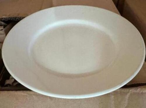 DESCRIPTION (2) CASES OF 6.5" CHINA PLATES THIS LOT IS: SOLD BY THE PIECE LOCATION SITE 2 QTY 2