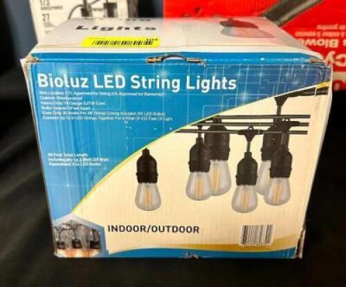 INDOOR/OUTDOOR LED STRING LIGHTS
