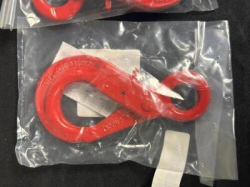 (2) - SELF LOCKING EYE SLING HOOKS