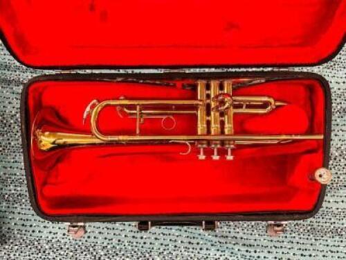 KING TRUMPET