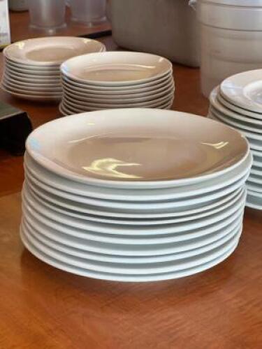 (12) - ASSORTED DINNER PLATES