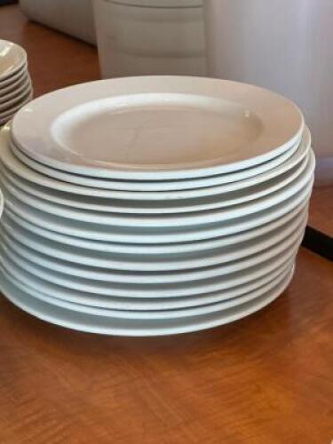 (12) - ASSORTED DINNER PLATES