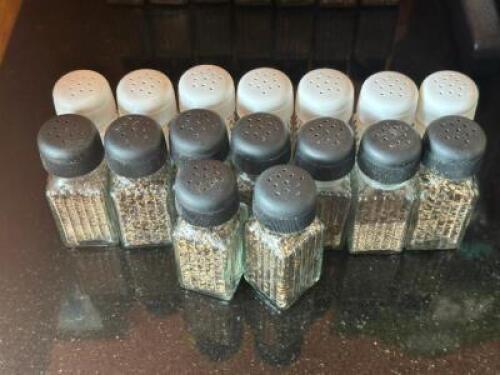 (16) - SALT AND PEPPER SHAKERS