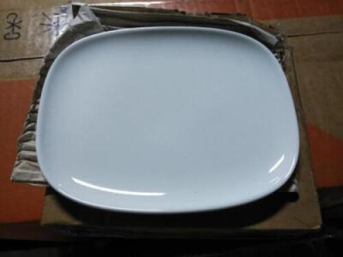 DESCRIPTION: (1) CASE OF (72) SMALL PLATES BRAND/MODEL: DESTAR #9248679 QTY: 1