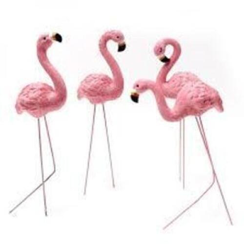 DESCRIPTION: (4) CASES OF (2) PINK FLAMINGOSRETAIL$: $16.99 EAQTY: 4