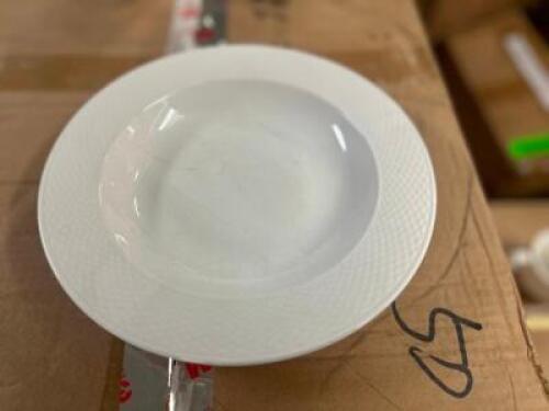 (1) CASE OF 9" CHINA PLATES