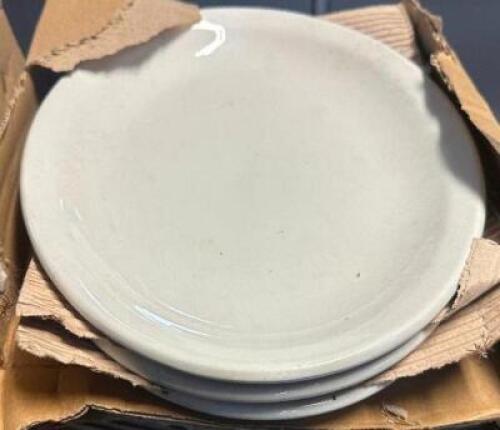 (24) 12" CHINA PLATES