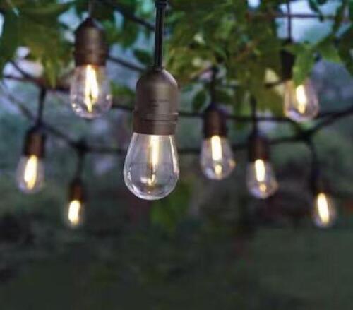 12-Light 24 ft. Indoor/Outdoor String Light with S14 Single Filament LED Bulbs