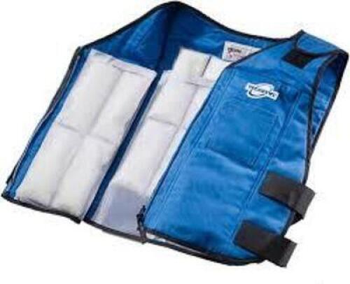 DESCRIPTION: (5) PHASE CHANGE INSERT FOR VEST BRAND/MODEL: TECHNICHE #6665-V INFORMATION: NO VESTS INCLUDED, JUST INSERTS RETAIL$: $135.00 TOTAL QTY: