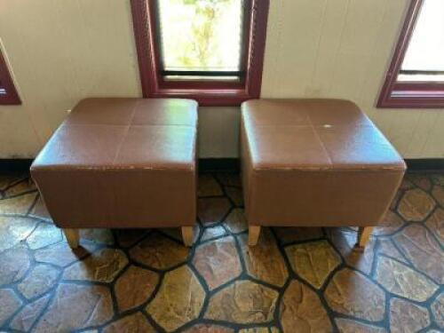 (2) - OTTOMANS / BACKLESS CHAIRS