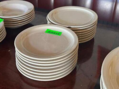 (12) - DINNER PLATES