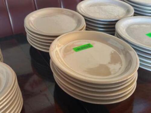 (12) - DINNER PLATES