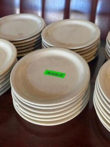 (12) - DINNER PLATES