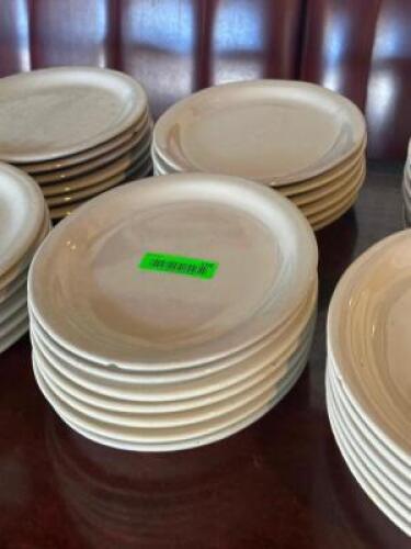 (12) - DINNER PLATES