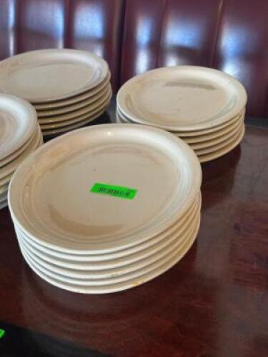 (12) - DINNER PLATES