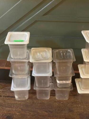 (10) - 1/6 SIZE CONTAINERS WITH LIDS