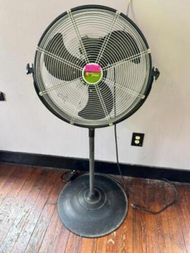 PEDESTAL FAN