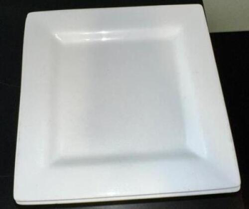 (17)- 11" SQUARE PLATES