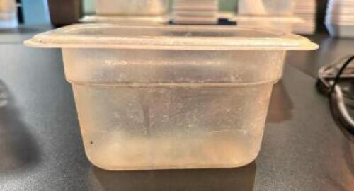 (6)- 1/9TH SIZE PLATIC INSERTS